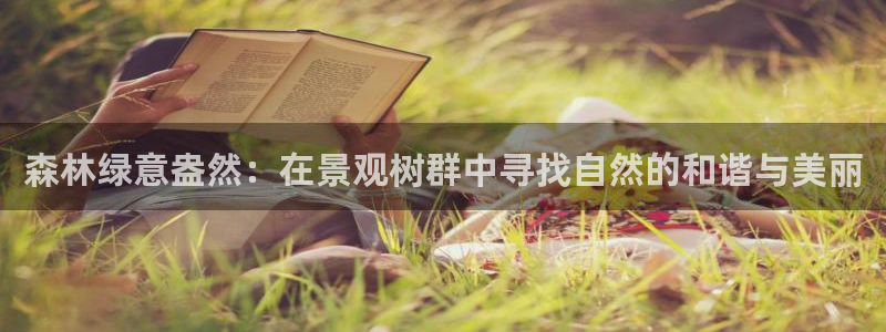 新宝gg创建奇迹