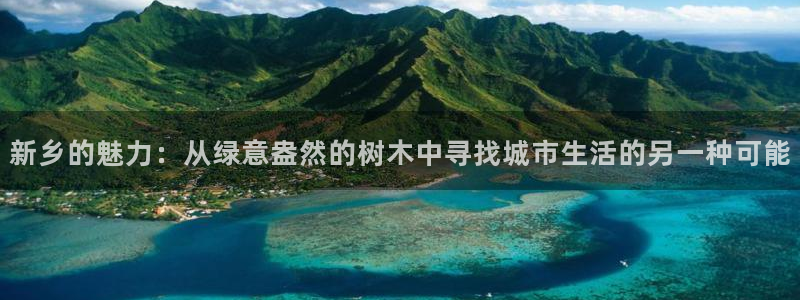 新宝gg平台开户