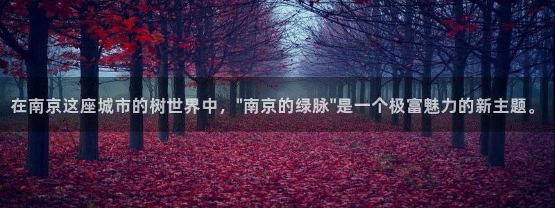 新宝gg软件下载