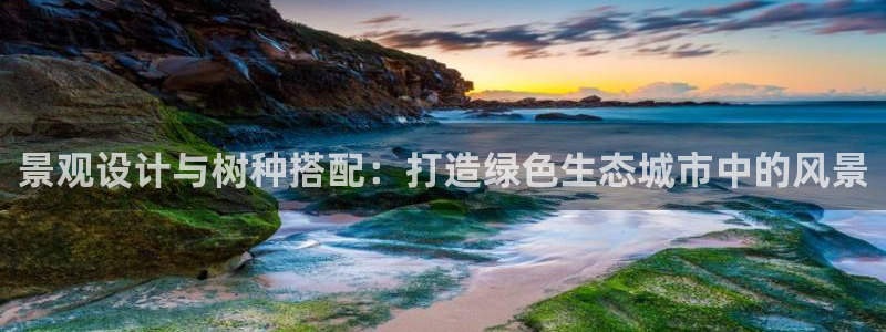 新宝gg主管花木兰