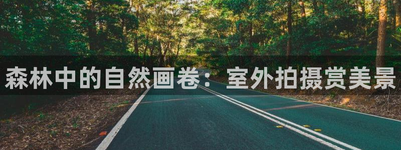 新宝gg-创业奇迹