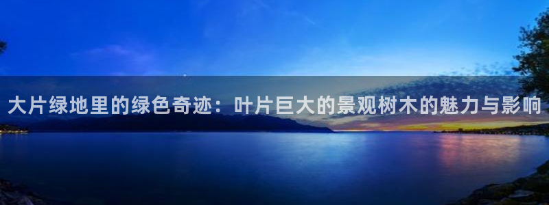 新宝gg如何代理