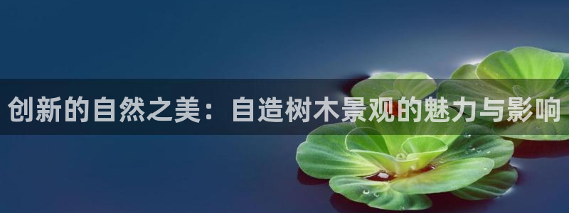 新宝gg找回账号