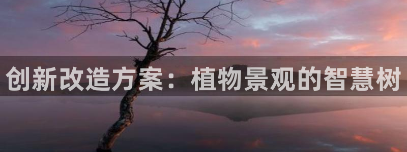 怎么代理新宝gg