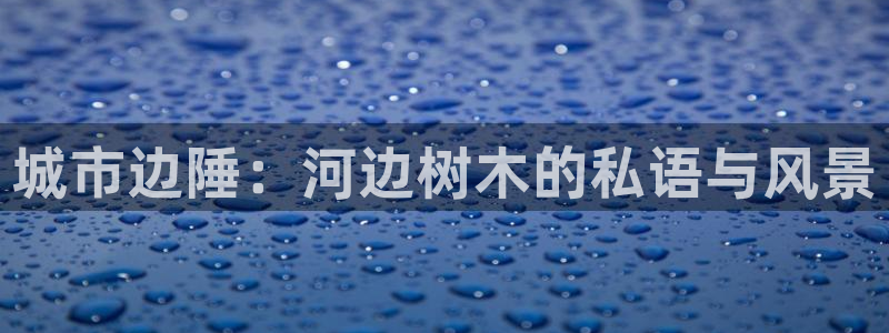 新宝gg用哪个浏览器