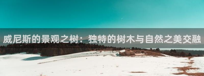 新宝GG登录网页:威尼斯的景观之树:独特的树木与自然之美交融