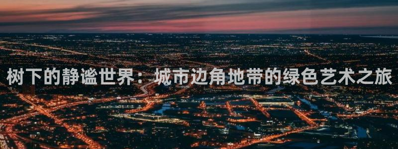 新宝gg在哪开户