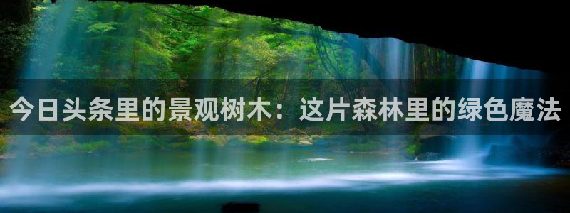 新宝GG网址新宝2