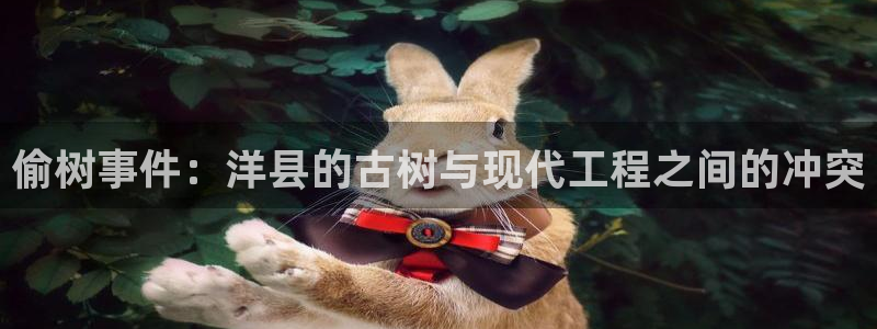 新宝gg6娱乐注册网址:偷树事件:洋县的古树与现代工程之间的冲突