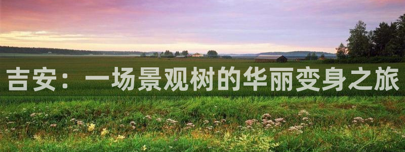 新宝gg平台怎么样
