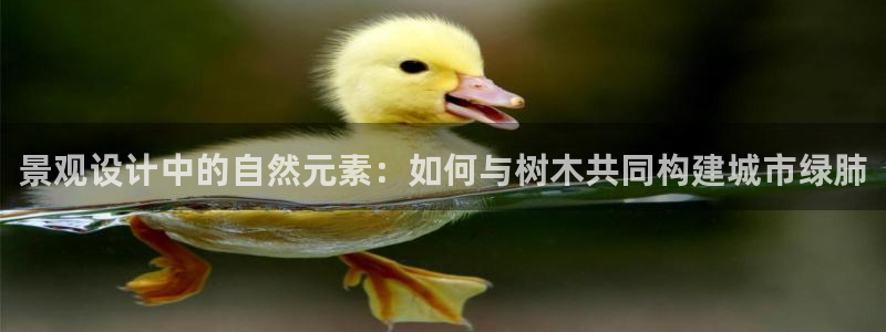 新宝gg传奇