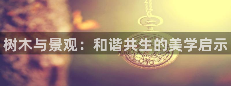 新宝gg网投