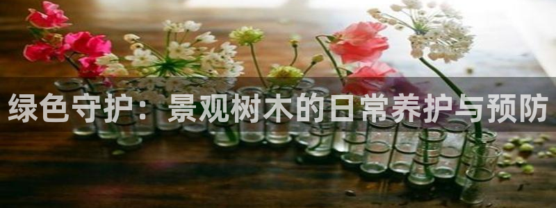新宝gg佣金