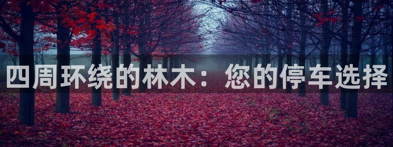 正版新宝gg