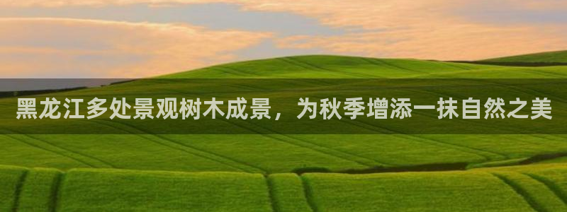 新宝gg套路