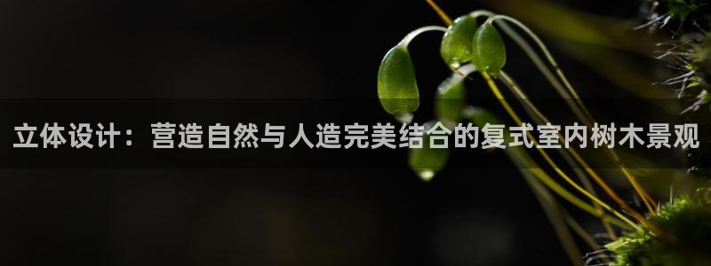 新宝GG创造奇