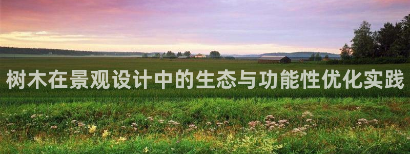 新宝 gg .com