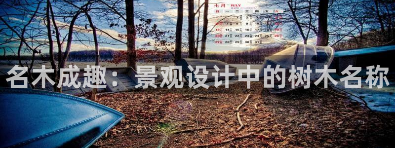 新宝gg手机注册官网：名木成趣：景观设计中的树木名称