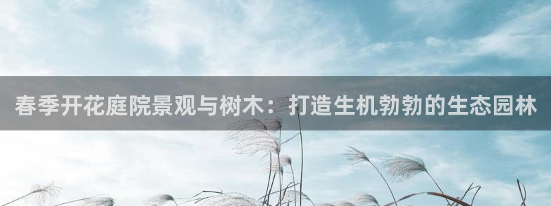 新宝gg 平台怎么样