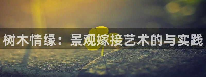 新宝gg注册网站：树木情缘：景观嫁接艺术的与实践