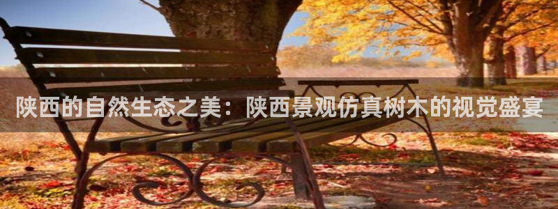 旧版新宝GG