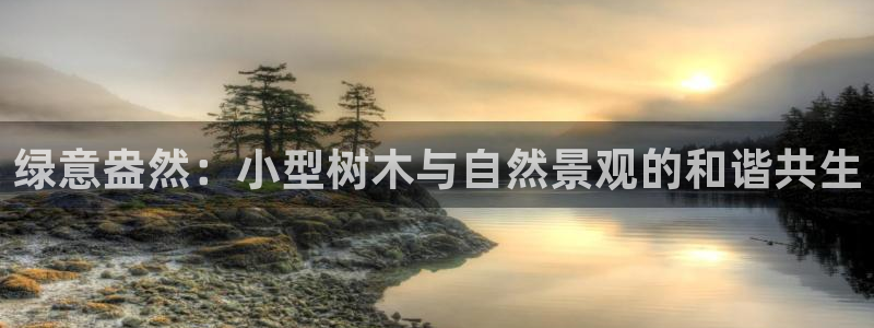 新宝gg介绍