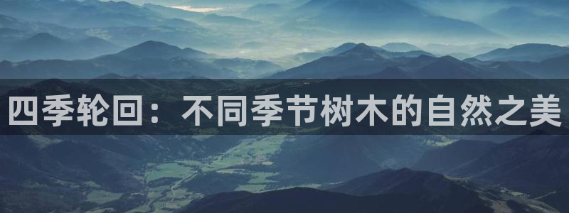 新宝gg返点1956是多少