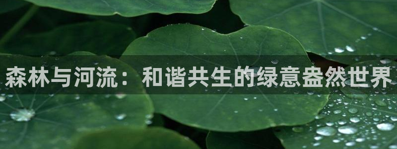 新宝gg游戏平台
