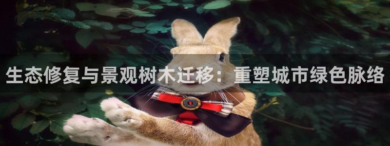 新宝GG扩展78778：生态修复与景观树木迁移：重塑城市绿色脉络