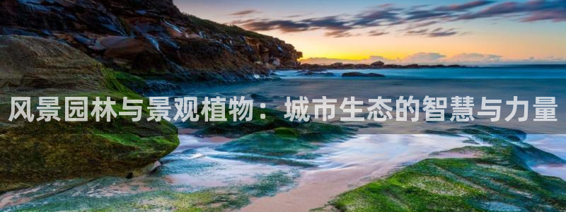 新宝gg娱乐主管q42873