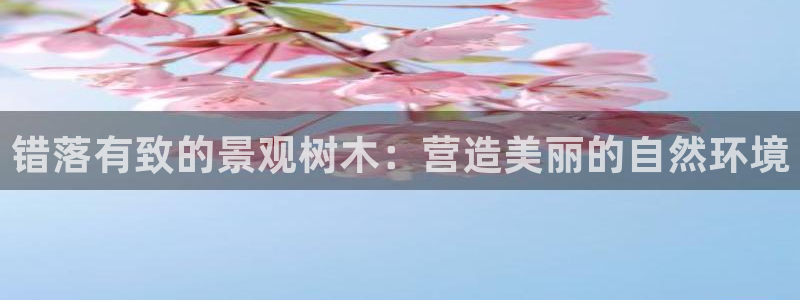 新宝gg地址新宝二