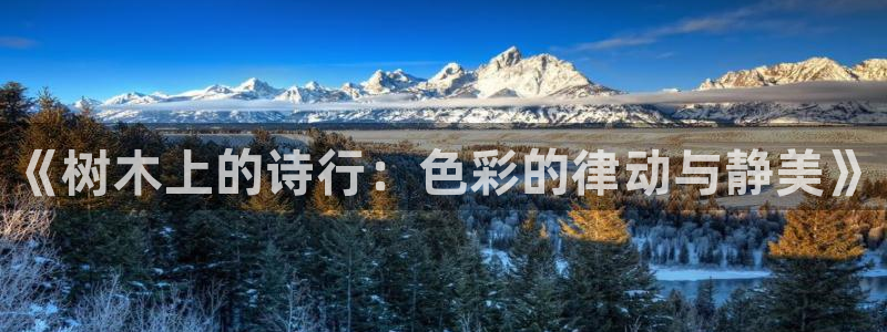 新宝gg 金苹果
