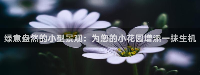 新宝gg指定平台