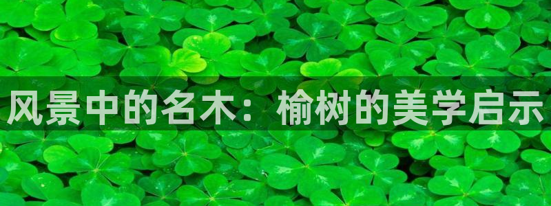 新宝gg平台反水