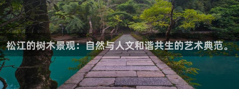 新宝gg资料：松江的树木景观：自然与人文和谐共生的艺术典范。