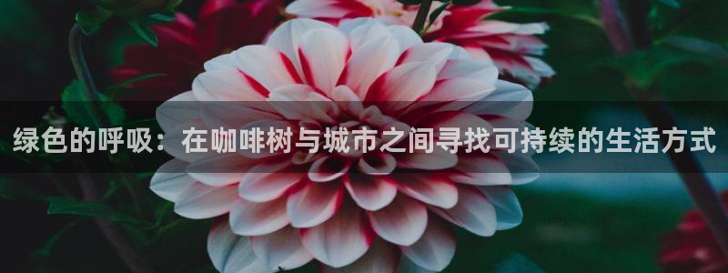j新宝GG：绿色的呼吸：在咖啡树与城市之间寻找可持续的生活方式