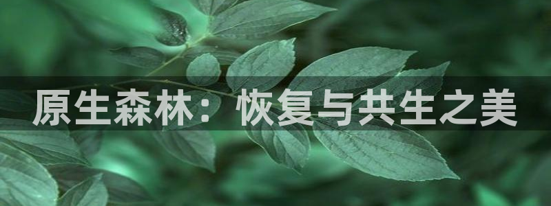 新宝gg博彩