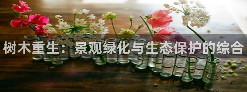 新宝 gg创造