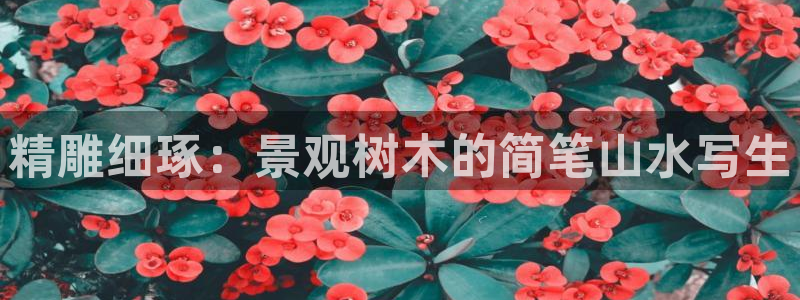新宝gg — 创造!