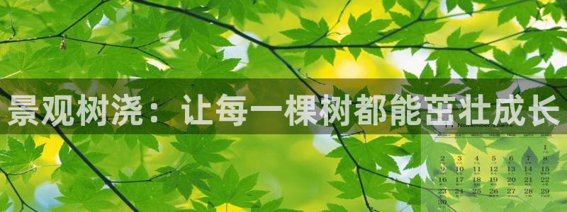 新宝哥gg