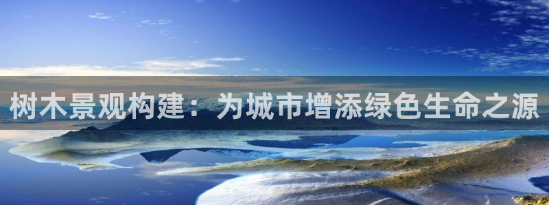 新宝gg 创造奇迹