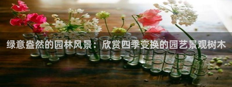 新宝给gg：绿意盎然的园林风景：欣赏四季变换的园艺景观树木