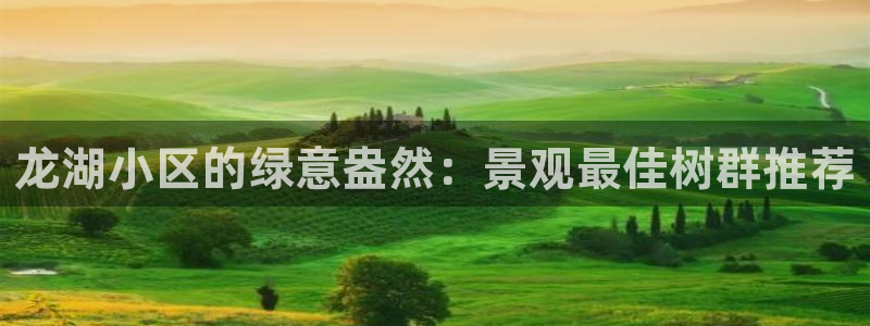 新宝太阳 gg