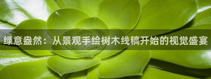新宝gg辅助